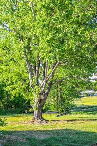 1235 Springdale Dr, Cookeville, TN 38501
