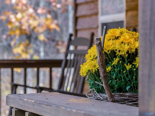 22218 County Road 89, Mentone, AL 35984