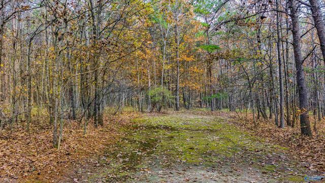 22218 County Road 89, Mentone, AL 35984