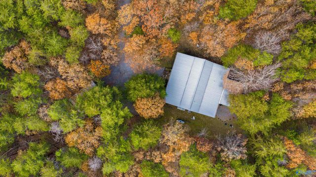 22218 County Road 89, Mentone, AL 35984