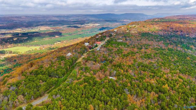 22218 County Road 89, Mentone, AL 35984