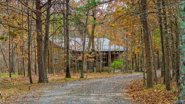 22218 County Road 89, Mentone, AL 35984