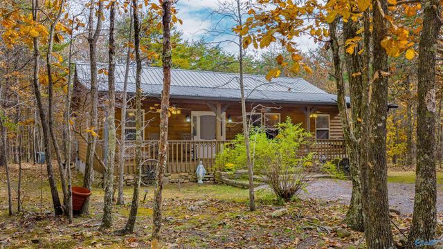 22218 County Road 89, Mentone, AL 35984
