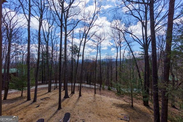494 Lower Prince Mountain Road, Cherry Log, GA 30522