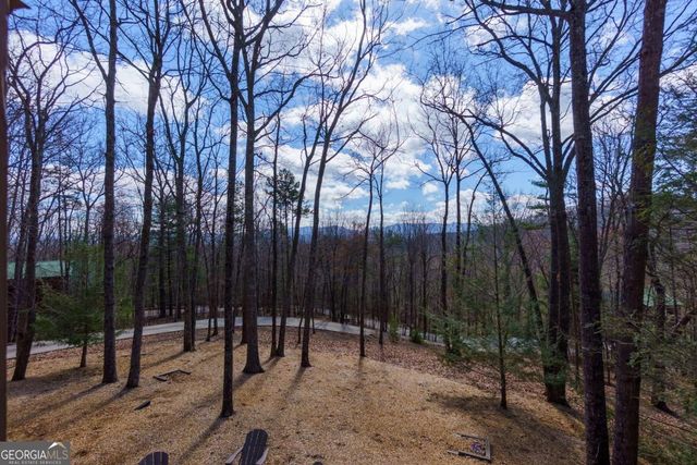 494 Lower Prince Mountain Road, Cherry Log, GA 30522