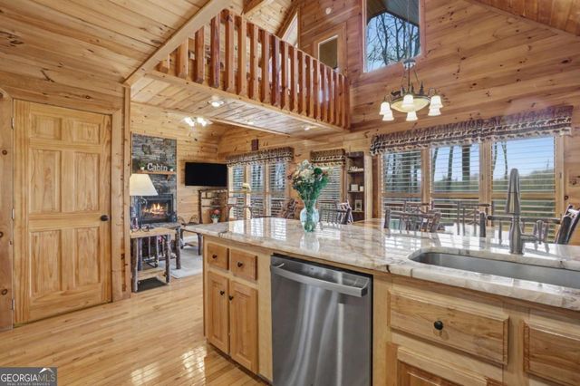 494 Lower Prince Mountain Road, Cherry Log, GA 30522