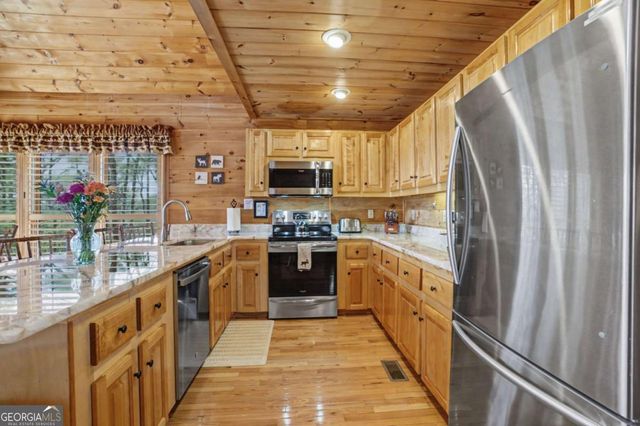 494 Lower Prince Mountain Road, Cherry Log, GA 30522