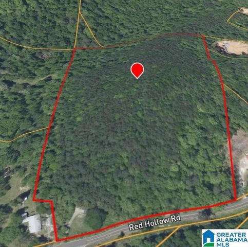 5500 RED HOLLOW ROAD, Birmingham, AL 35215