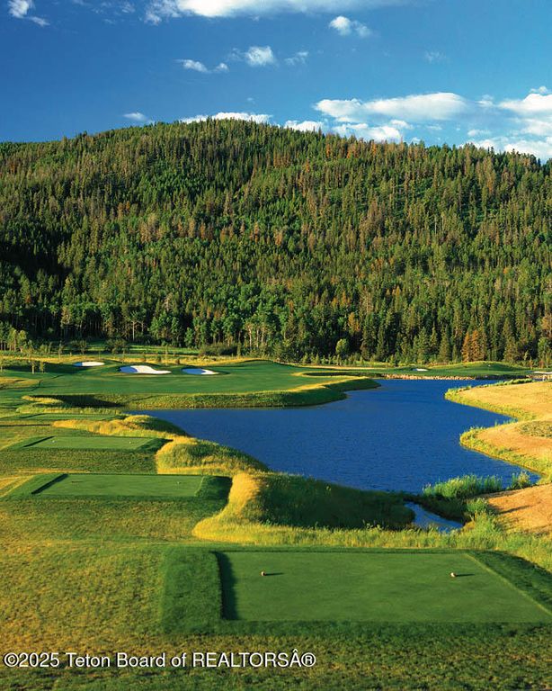 12 COLD SPRINGS Road, Victor, ID 83455 photo 74