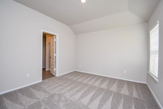 8006 Camphor Court, Magnolia, TX 77354
