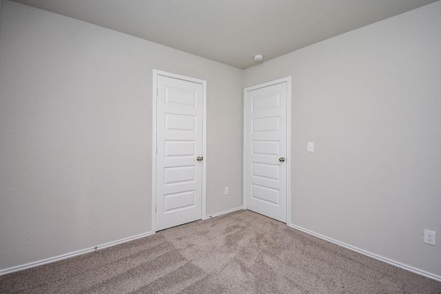 8006 Camphor Court, Magnolia, TX 77354