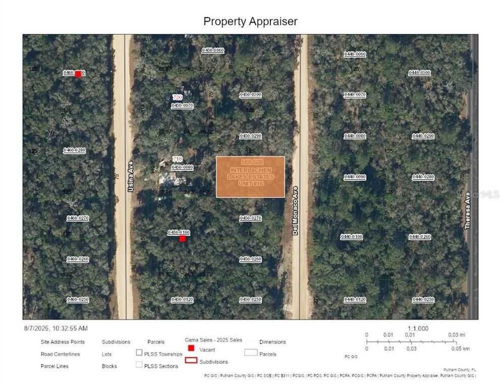 DEL MONACO AVENUE, Interlachen, FL 32148