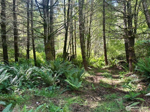 222 Southview Drive, Port Angeles, WA 98363