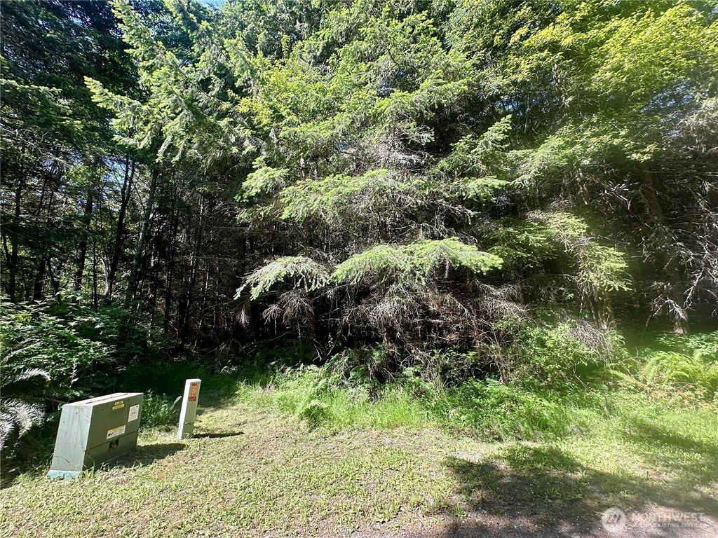 222 Southview Drive, Port Angeles, WA 98363