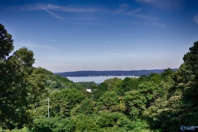 1707 Winston Street, Guntersville, AL 35976