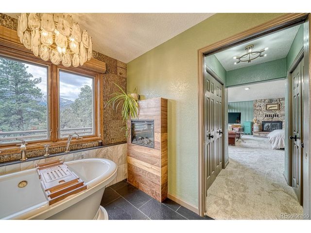 18165 Alta Vista Dr, Buena Vista, CO 81211