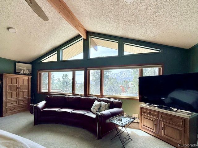 18165 Alta Vista Dr, Buena Vista, CO 81211