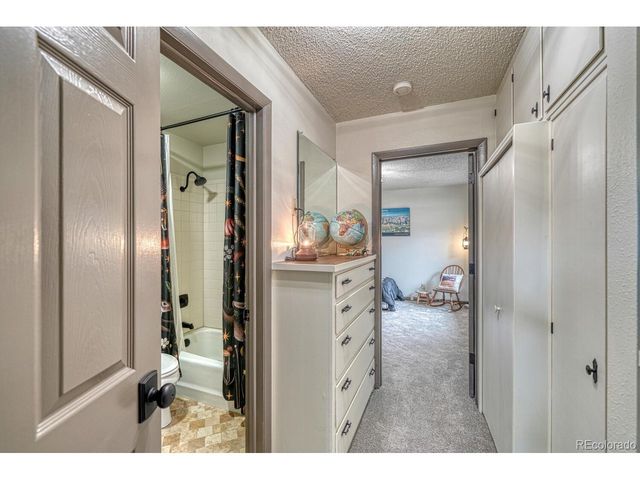18165 Alta Vista Dr, Buena Vista, CO 81211