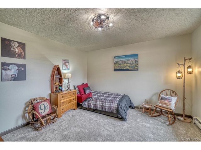 18165 Alta Vista Dr, Buena Vista, CO 81211