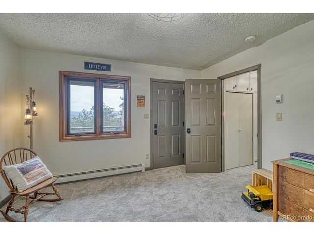 18165 Alta Vista Dr, Buena Vista, CO 81211