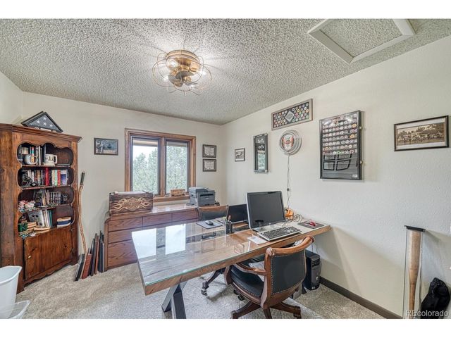 18165 Alta Vista Dr, Buena Vista, CO 81211