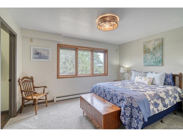 18165 Alta Vista Dr, Buena Vista, CO 81211