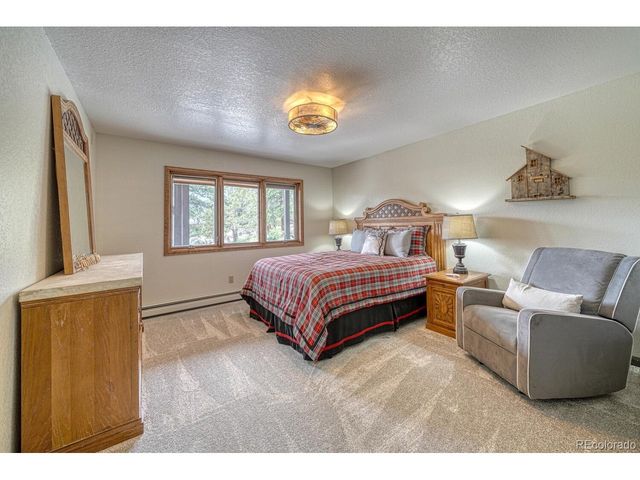 18165 Alta Vista Dr, Buena Vista, CO 81211