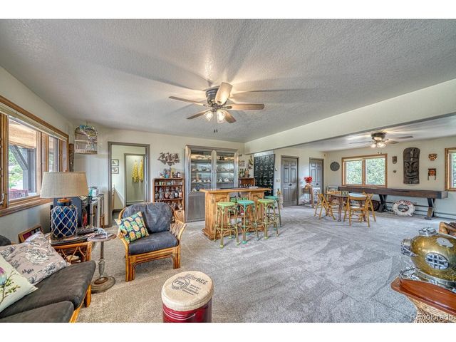 18165 Alta Vista Dr, Buena Vista, CO 81211