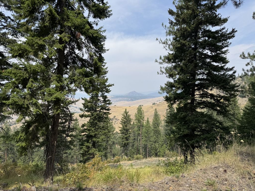Lot 4 Yosyrian Lane, Plains, MT 59859 photo 1