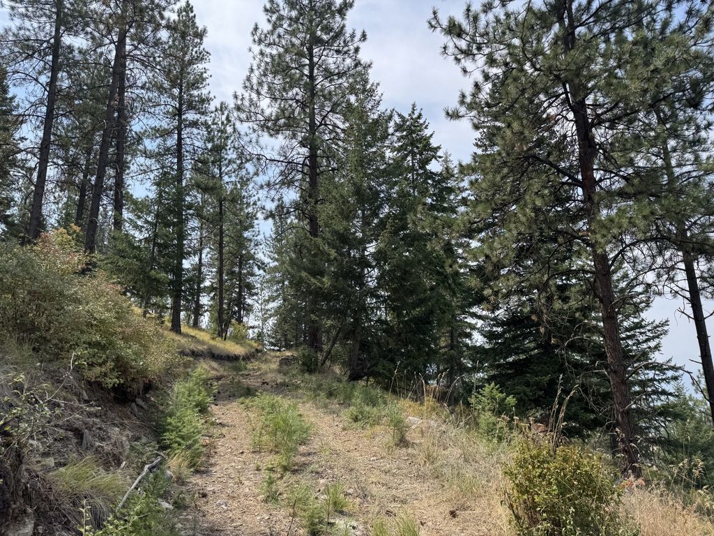 Lot 4 Yosyrian Lane, Plains, MT 59859 photo 3
