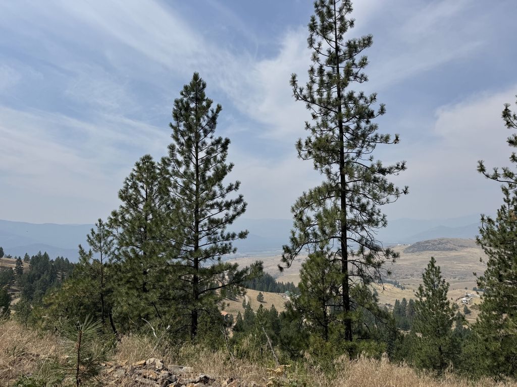 Lot 4 Yosyrian Lane, Plains, MT 59859 photo 5