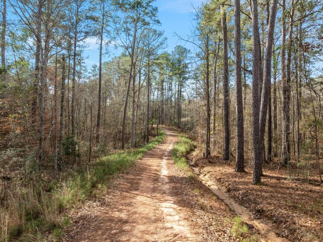6.45 Acres Todd Rd., Sumrall, MS 39482