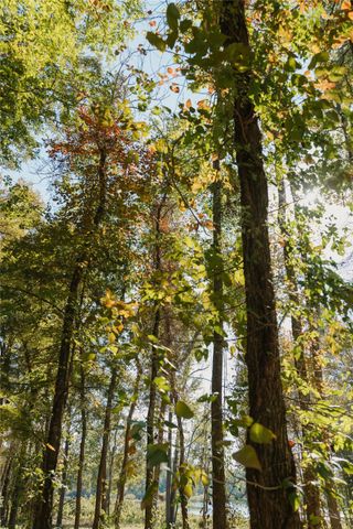 Lot 15 Private Road 5948, Yantis, TX 75497