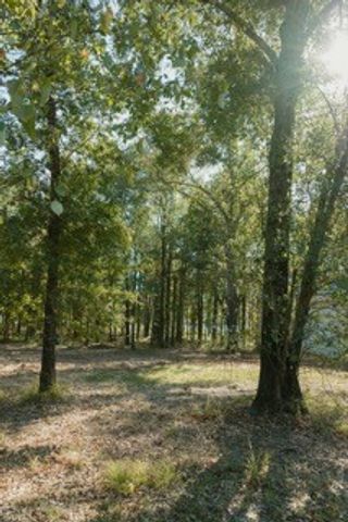 Lot 15 Private Road 5948, Yantis, TX 75497