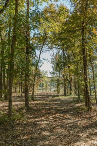 Lot 15 Private Road 5948, Yantis, TX 75497