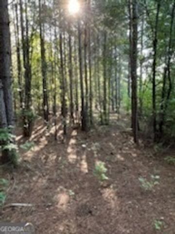 600 Hillview TRACT 1 Road, Hampton, GA 30228