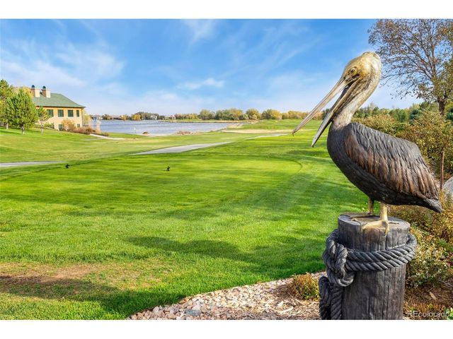 1585 Winter Glow Dr, Windsor, CO 80550