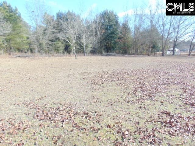 2291 Ninety Six Road, North, SC 29112