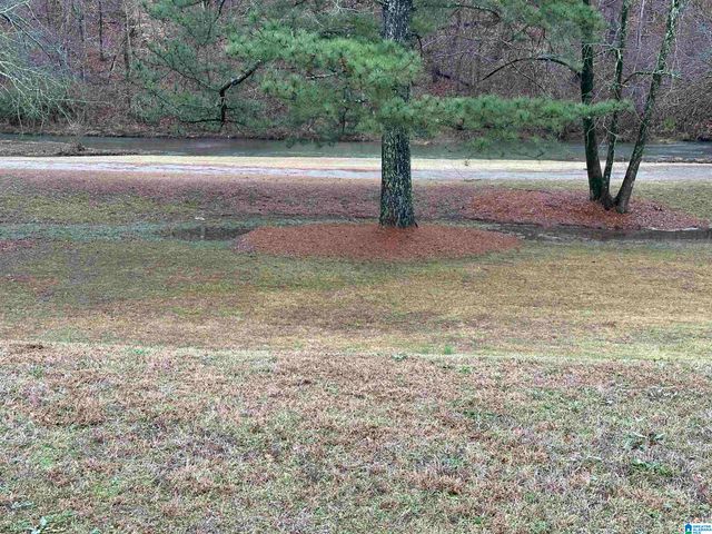 4315 CAHABA BEND, Trussville, AL 35173