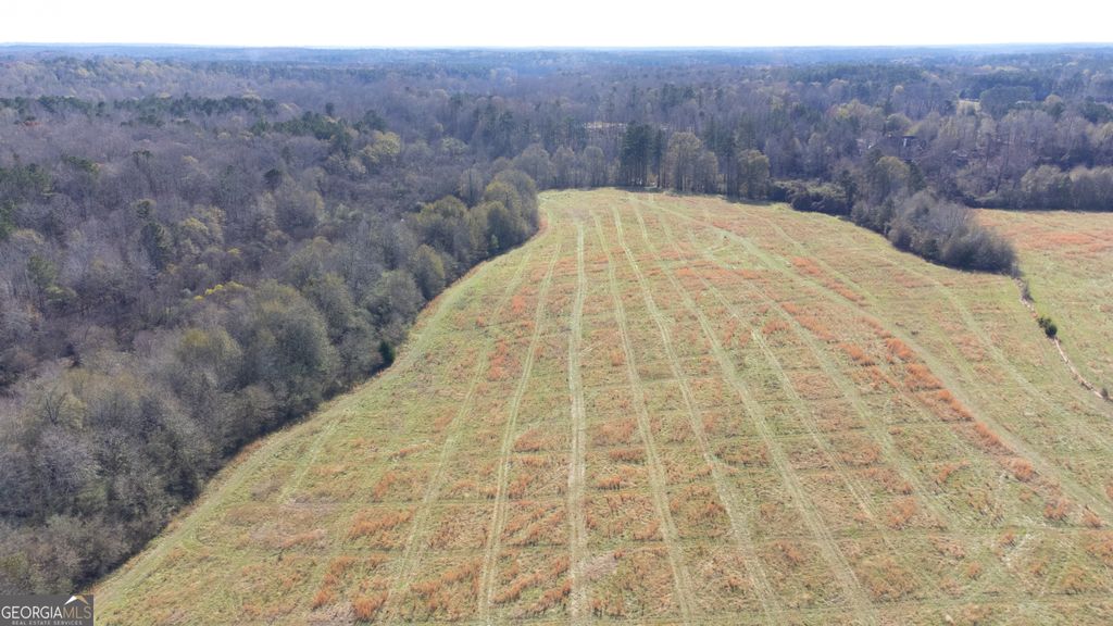 0 Steele Road, Griffin, GA 30223