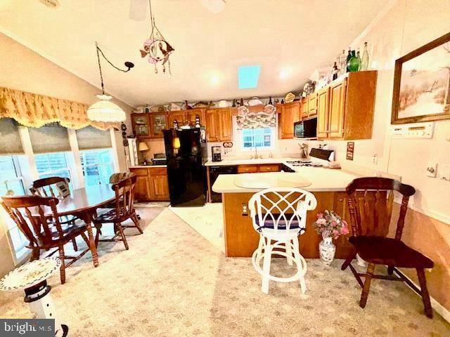 216 TIMBERLINE CIR, Berlin, MD 21811