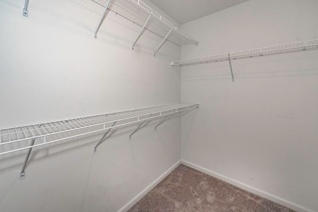 50236 Amberwood Road, Canton Twp, MI 48188