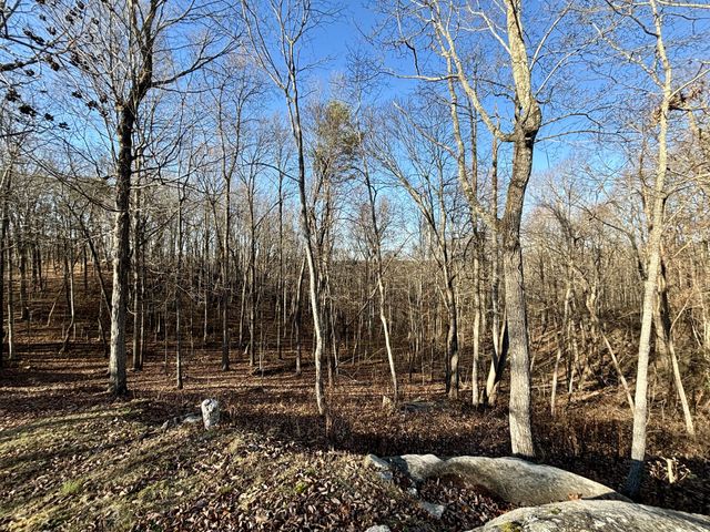 501 Bluff View Dr, Spencer, TN 38585