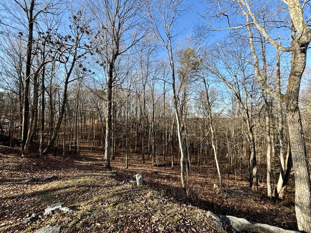 501 Bluff View Dr, Spencer, TN 38585