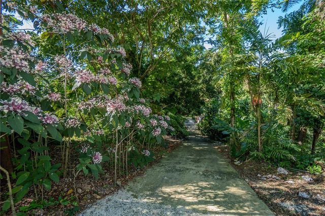 1 BARRIO JIMENEZ, Rio Grande, PR 00745