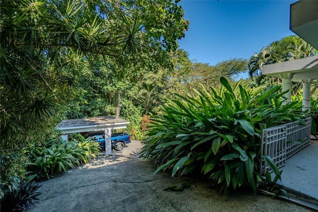 1 BARRIO JIMENEZ, Rio Grande, PR 00745