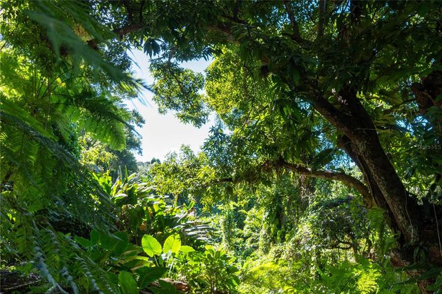 1 BARRIO JIMENEZ, Rio Grande, PR 00745