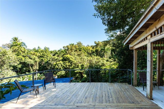 1 BARRIO JIMENEZ, Rio Grande, PR 00745