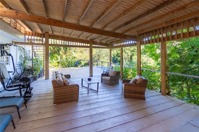 1 BARRIO JIMENEZ, Rio Grande, PR 00745