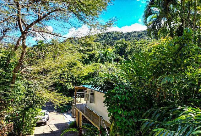 1 BARRIO JIMENEZ, Rio Grande, PR 00745